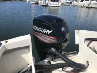 Mercury 90 New 2016