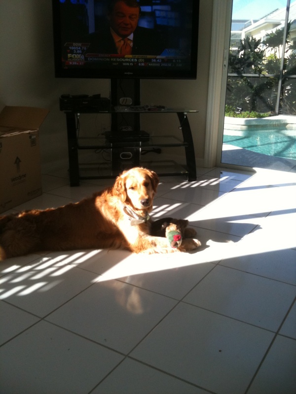 Miley with her duck