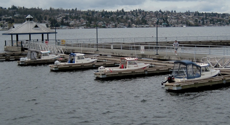 Mini C-Pod at Floats at Coulon Park
