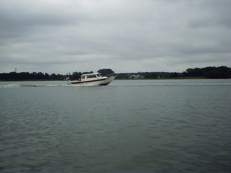 Minnow