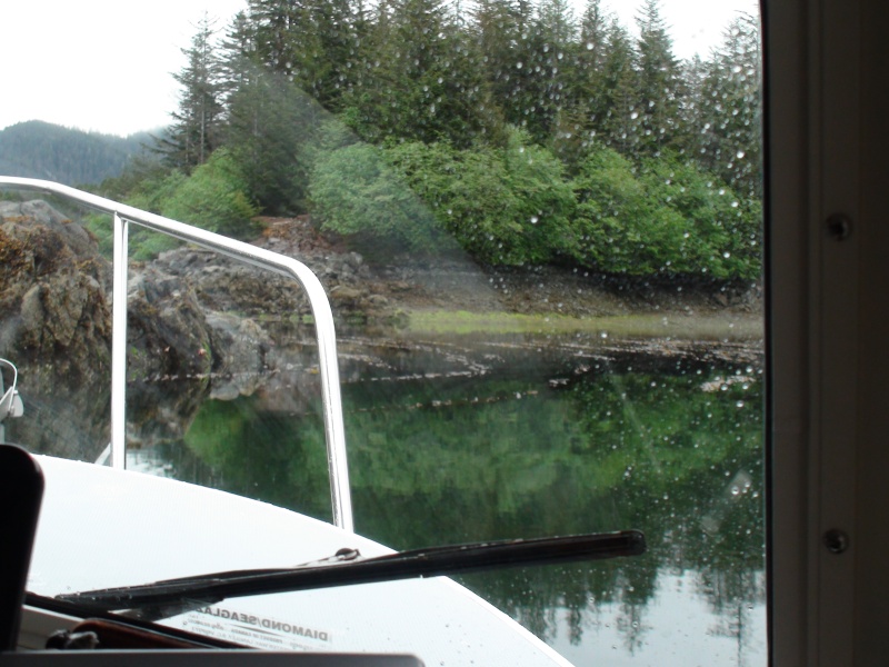 Mirror Harbor east arm entry through kelp