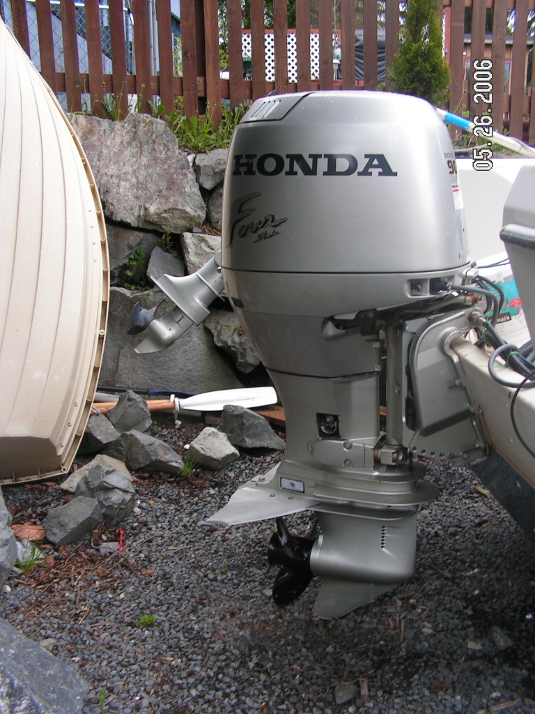 \"Miss Amelia\"- Honda 4-strokes w/dolphin