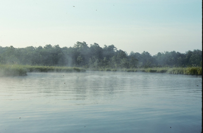 Mist on the West Neck Creek-2