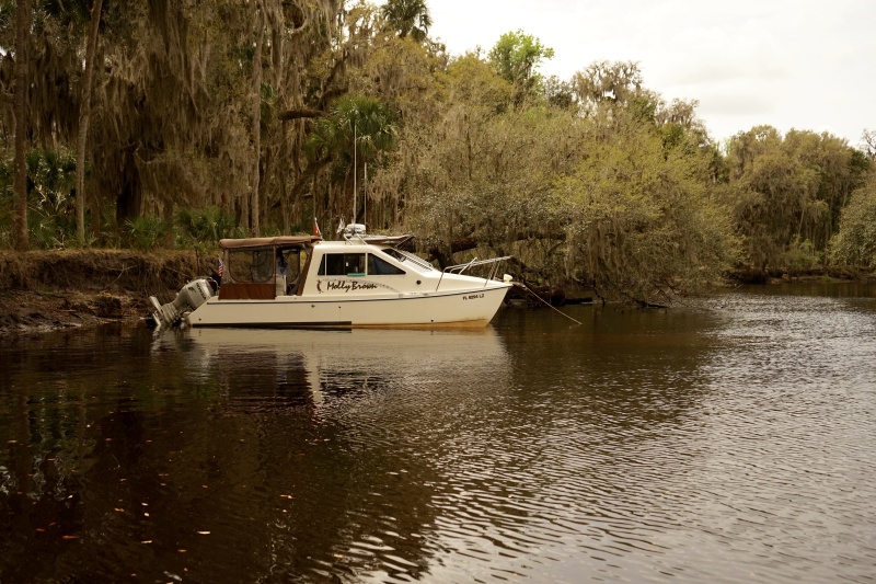 Molly Brown on the Encolockhatchee