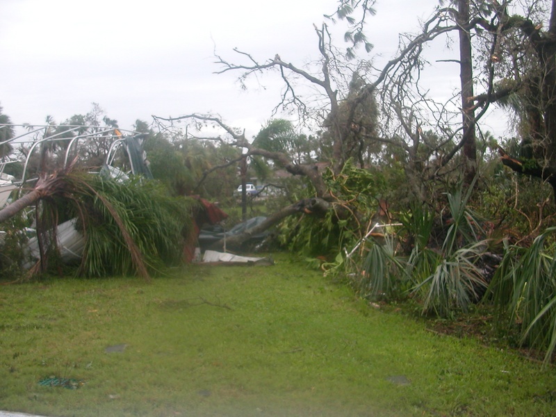 (Molly Brown)Post storm damage