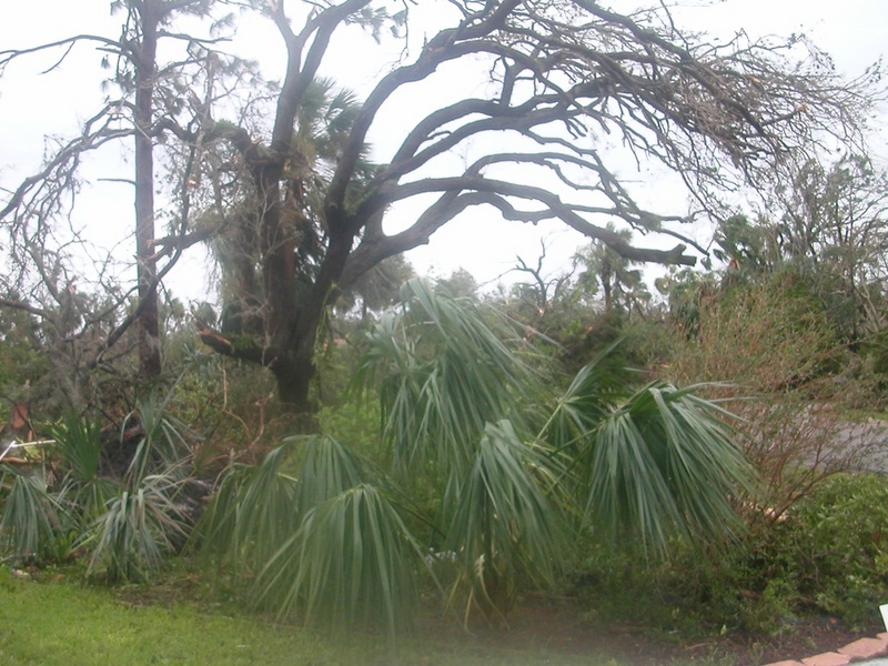 (Molly Brown) Sustained winds of 140mph with gusts to 170-185mph depending on where you were in the \"bands\"