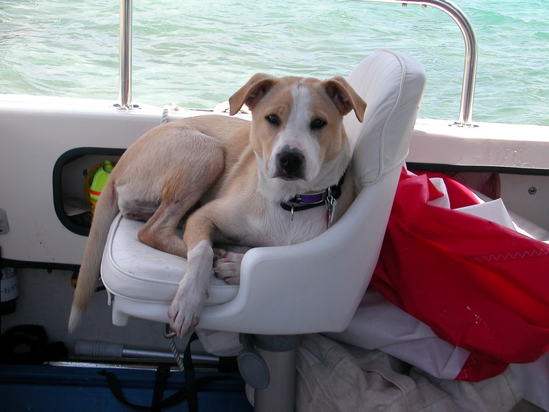 (Molly Brown) What do you mean this is not my chair?