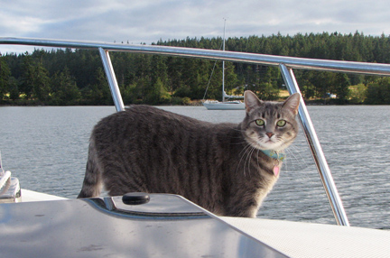 Molly on anchor watch