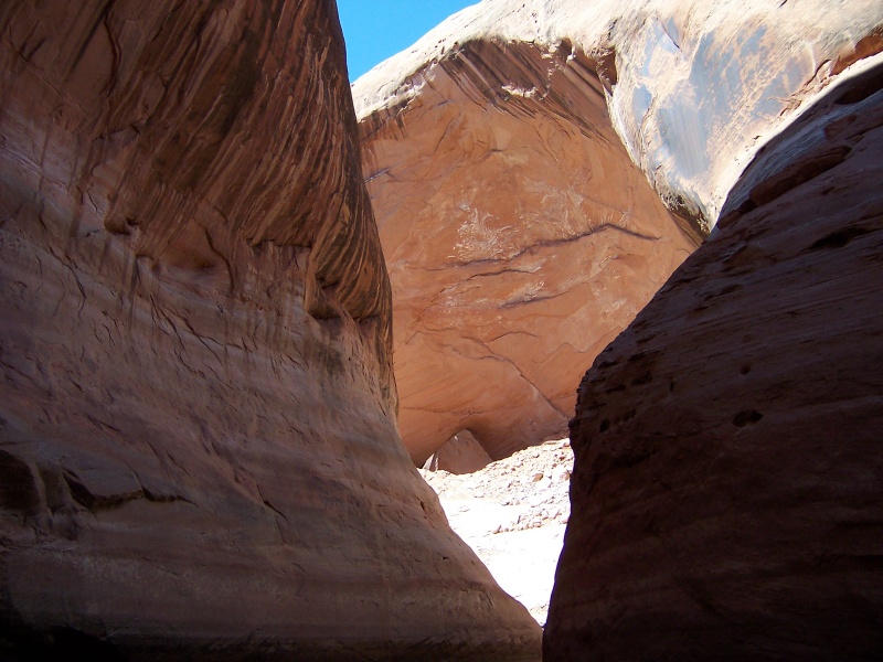 Mon 4/22 This may have been taken in Davis Gulch