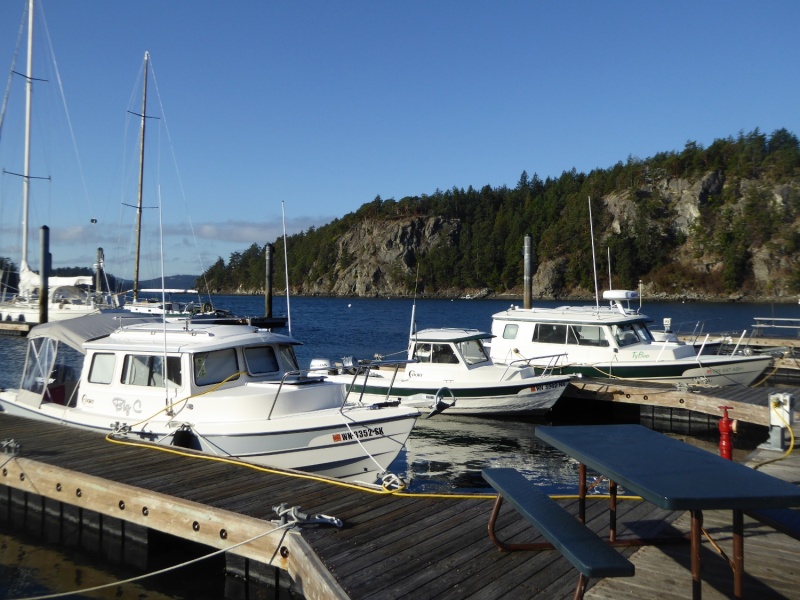 Monday morning on the dock