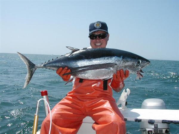 Monterey Bay Albies!.jpg