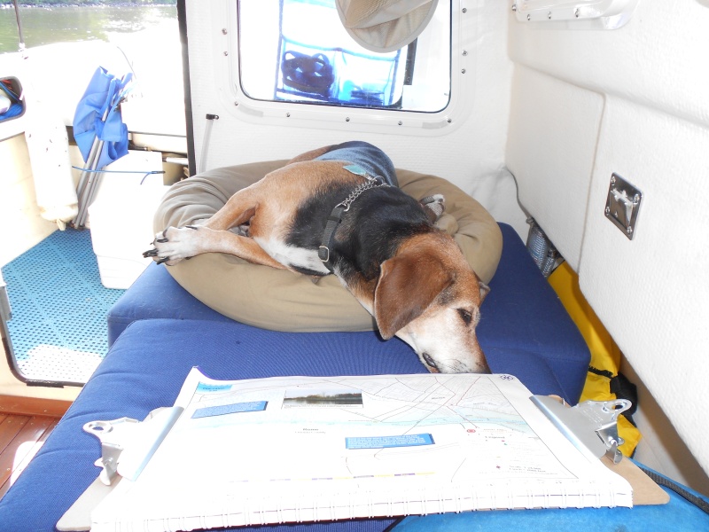 Monty is following the charts
