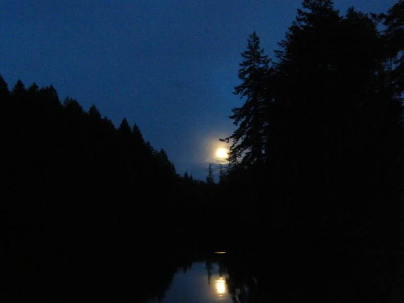 Moonrise Jarrell Cove