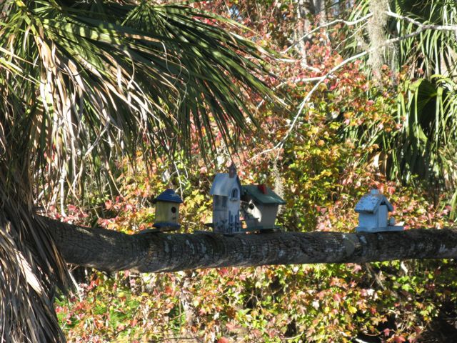 More Birdhouses
