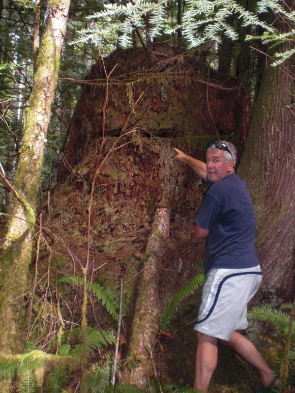 More board cuts on the trail from Phil Lavigne's Laura Cove to Mike Shuttler's Melanie Cove.  (read "Curve of Time").