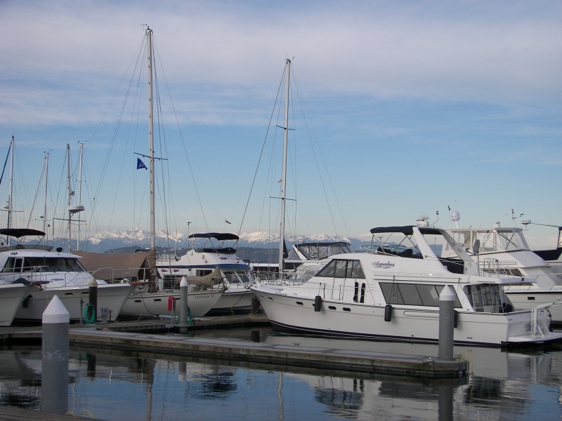 More boats.