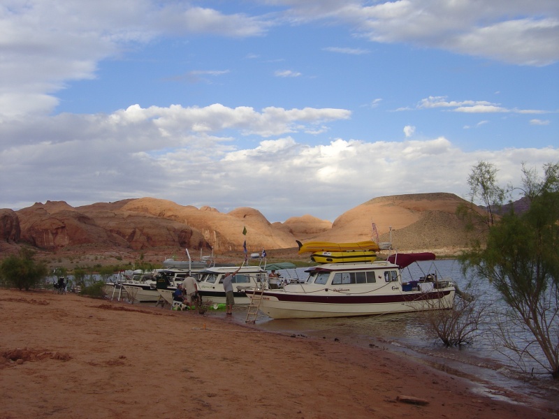 more C-Dories at rest