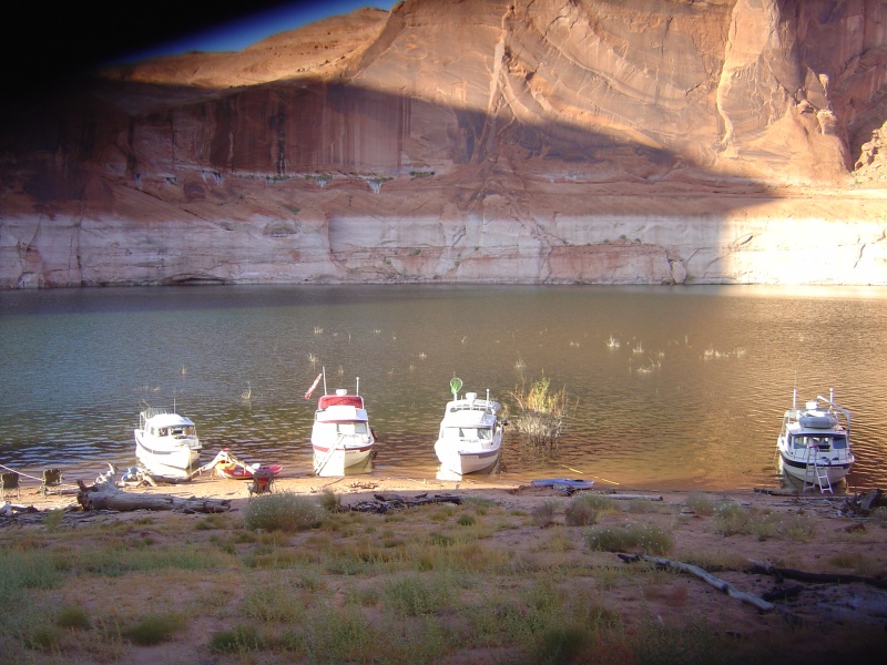 more C-Dories resting