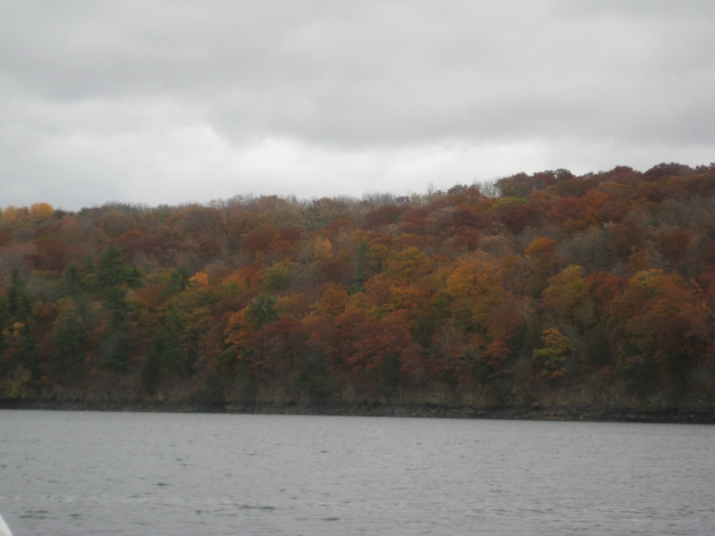 More fall colors.