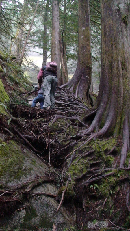 More of the "Trail"
