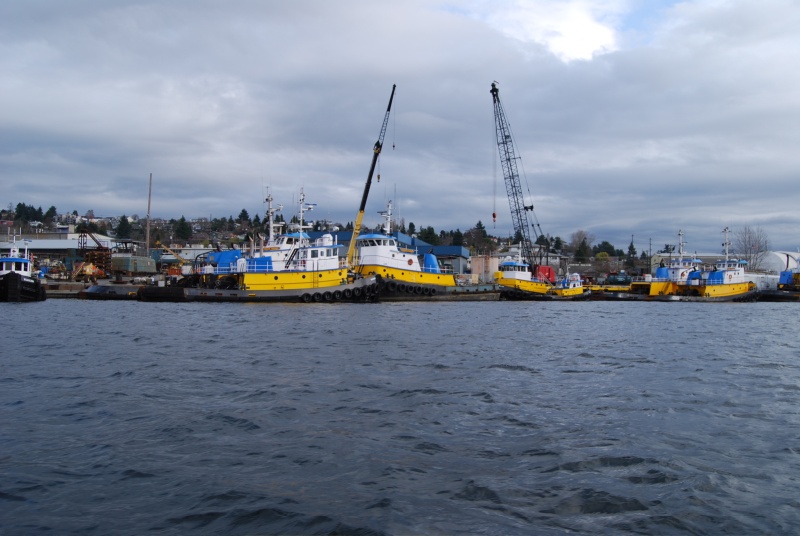 More tugs for Tim.