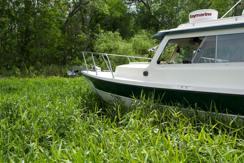more weed anchoring