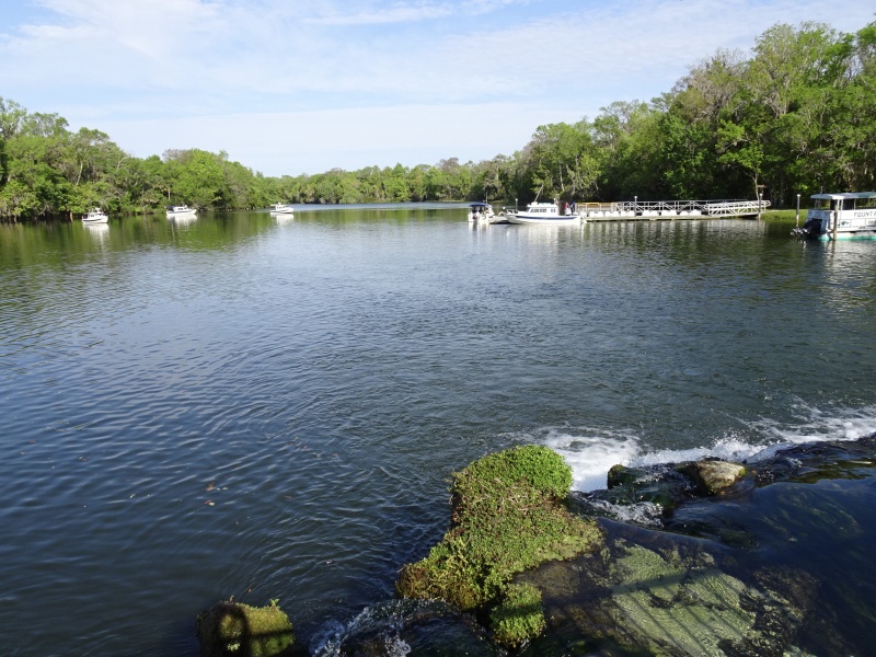 Morning at DeLeon Springs.  C Dory 5.