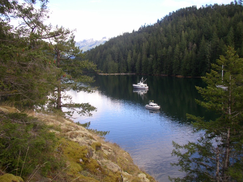 Morning in Roscoe Bay