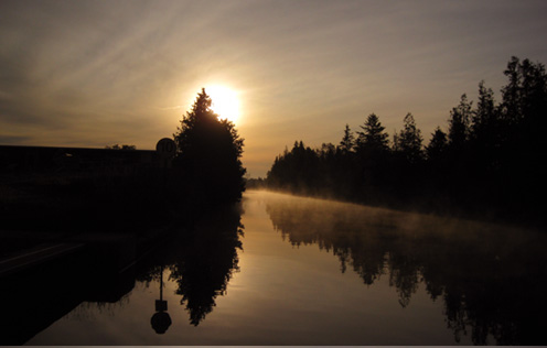 Morning mist on the water