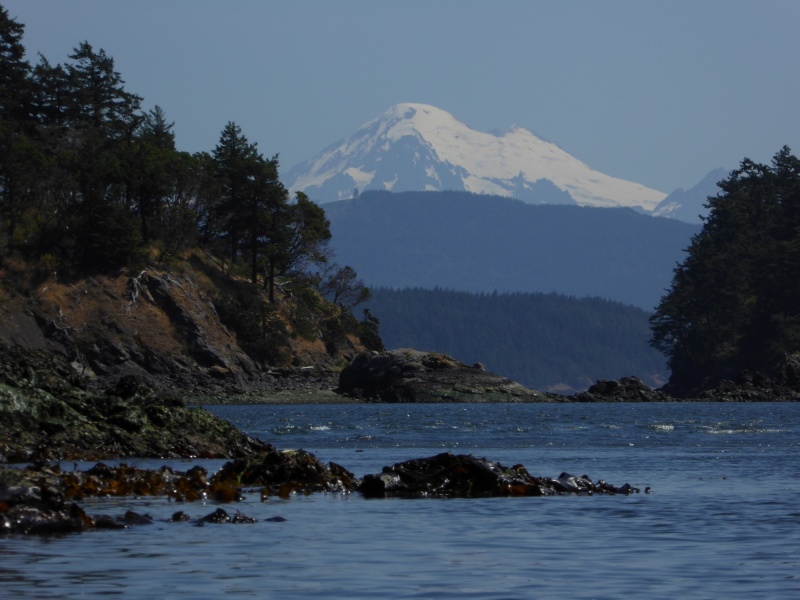 Mount Baker from Eagle Harbor Cypress