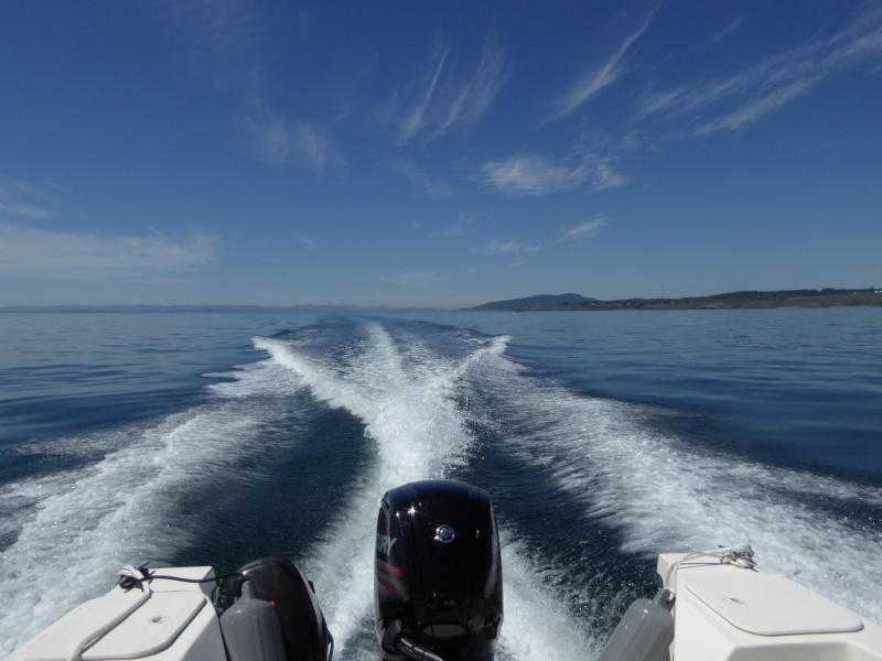 Moving on southward toward Cattle point
