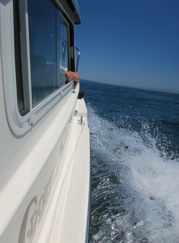 Moving to open ocean. 5.6 foot 7 second seas coming up soon. Sea-Cruz was great but it did go bang a lot. No time for pictures. World of difference between "inside" and "outside" on Monterey Bay