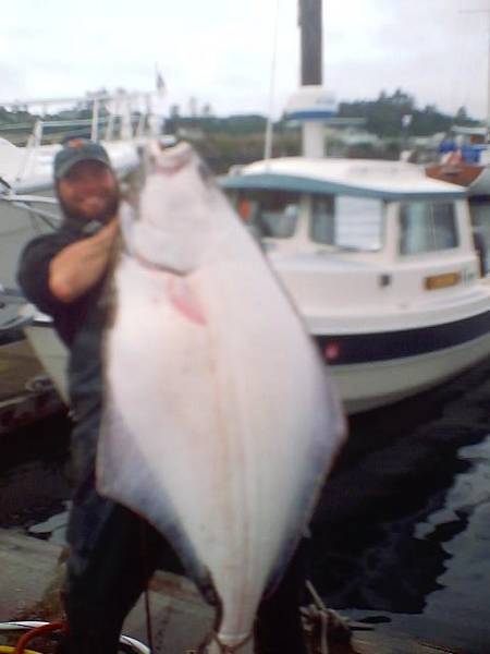 (Mr. Fisherman) The New Sea Lion RECORD! 58"