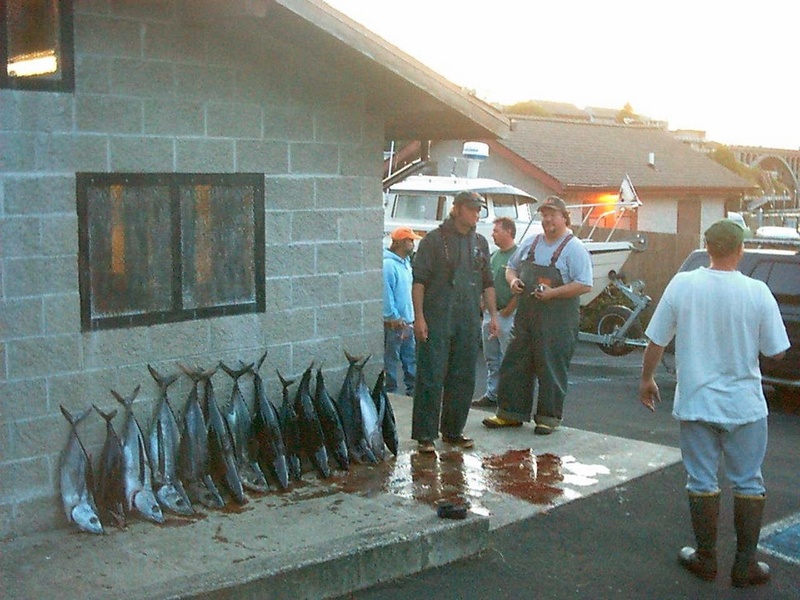 (Mr. Fisherman)