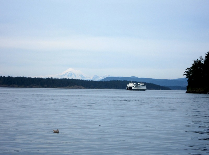 Mt Baker and ferry