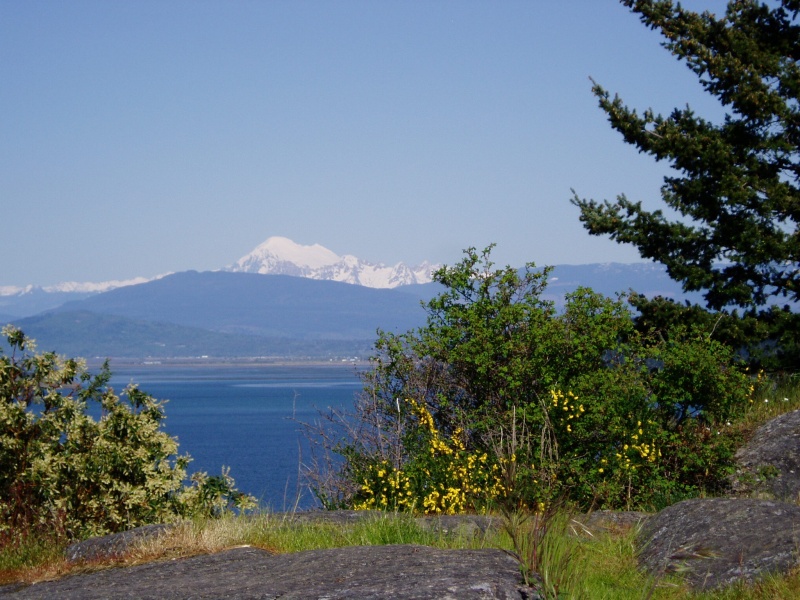Mt Baker from Anacortes
