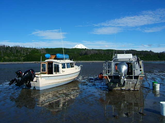 Mt Foraker in background