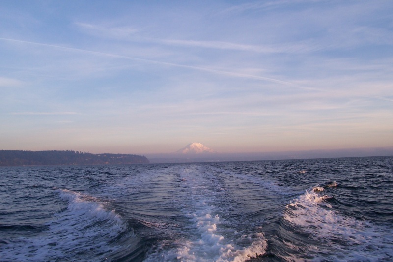 Mt. Rainier