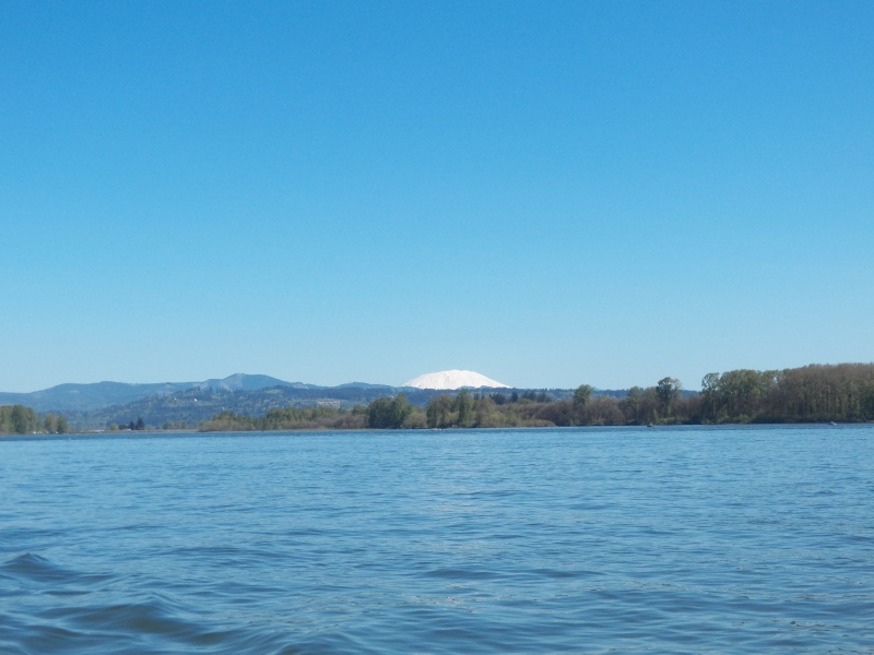 Mt. Saint Helens from the Columbia River at Ridgefield.