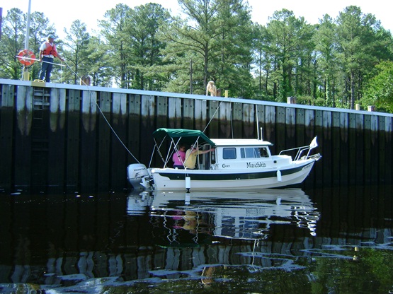 Munchkin in Dismal Swamp north end lock