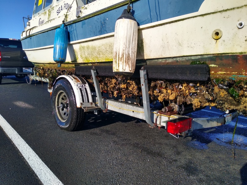 My 22 Cruiser came with its own ecosystem. It was abandoned by the owner, spent at least 2yrs sitting at the marina.
