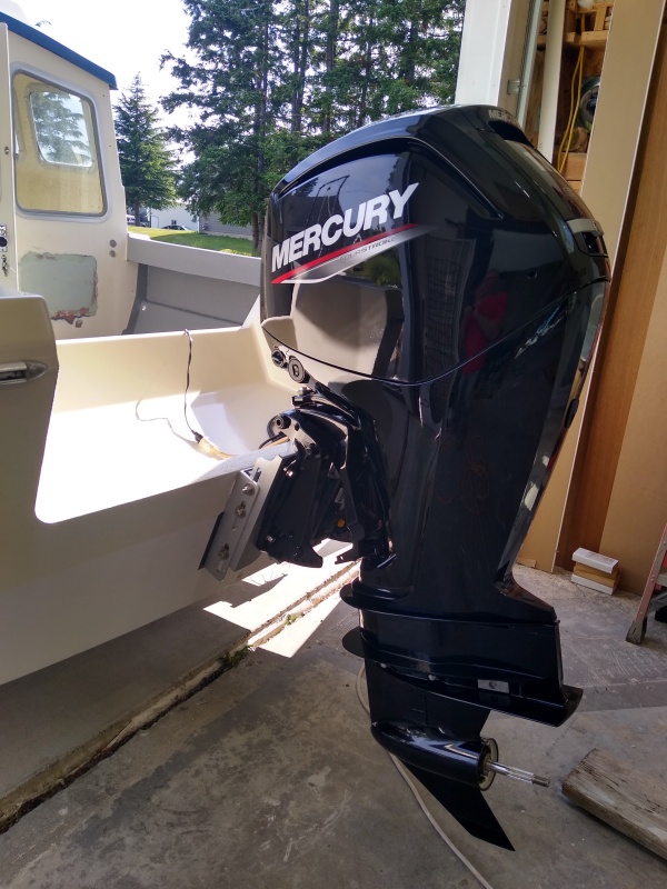 My boat is moored 6 month or more of the year. I wanted the outboard completely out of the water when docked to eliminate corrosion / Sea Growth. The motor is mounted with a 4? setback manual jackplate.