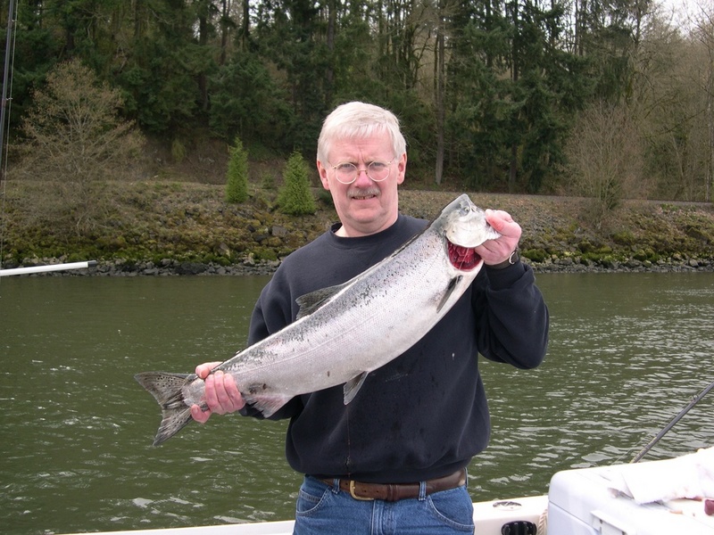 My first Big C springer.  Caught 12 pounder below Kalama on a wrapped kwikfish on March 13, 2004.