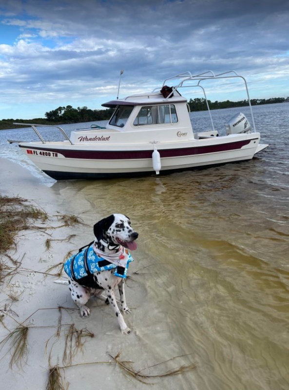 My girl Joplin. Navy Point, Pensacola FL