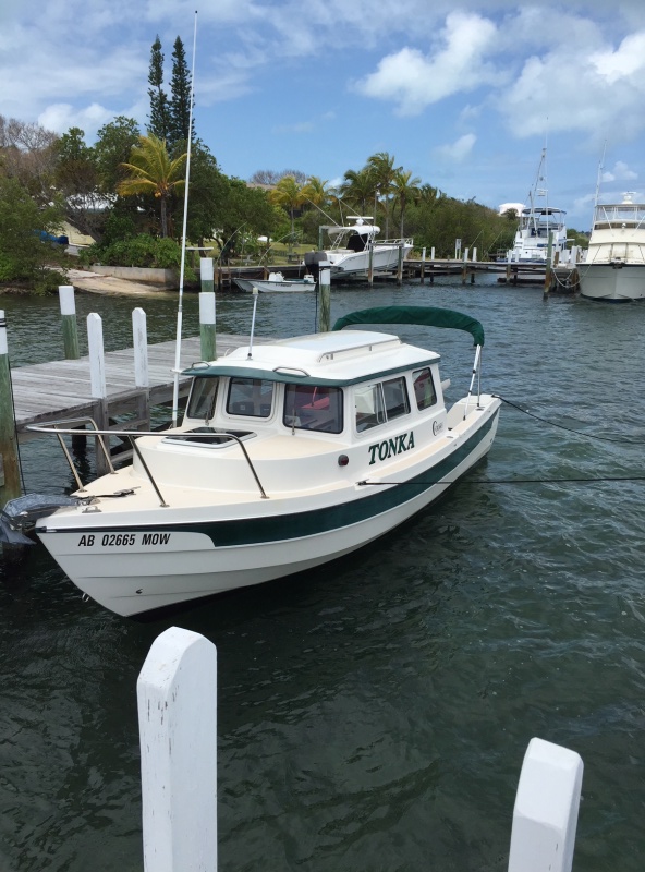 My ?new? (to me) cruiser!