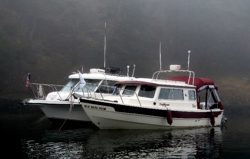 Nama Bickie and Daydream in Early Morning Fog at Tombolo Cove 7-19-11