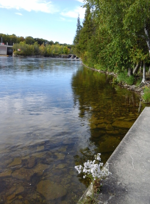 Nassau Mills lock 22(bottom)