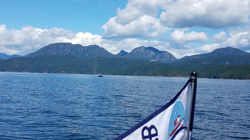Near entrance to Von donop Inlet