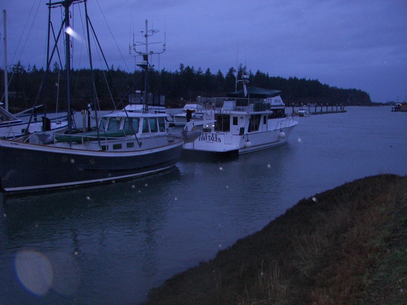 Neat boats.