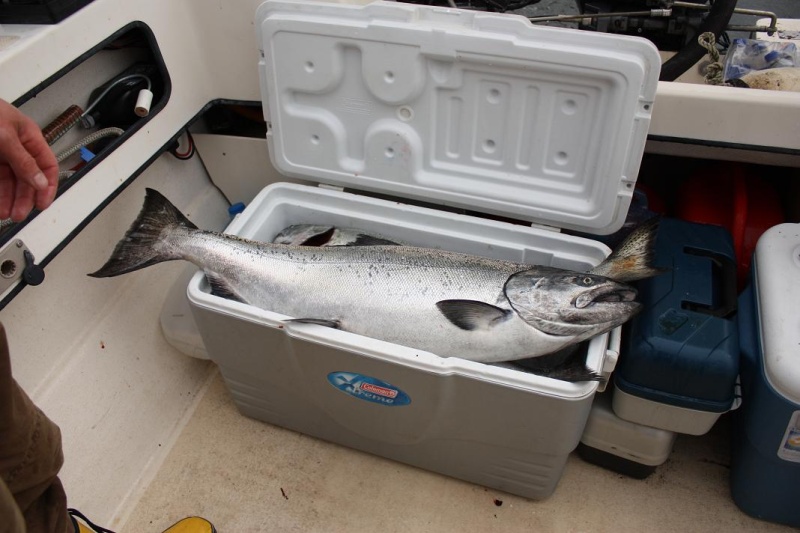 Need a bigger cooler!